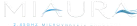 logo-hei 2
